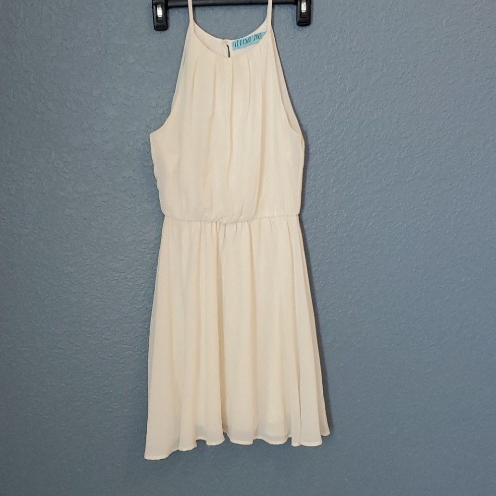 Francesca's Sleeveless Halter Neck Dress